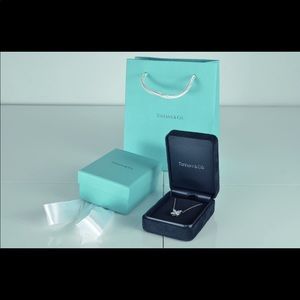 Authentic Tiffany & Co Victoria Pendant